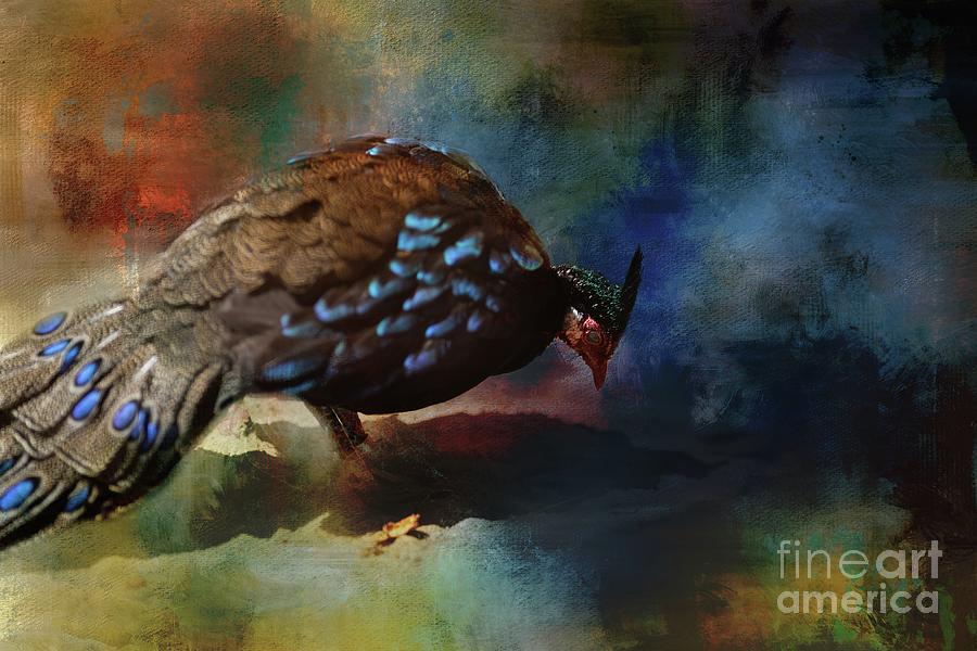Bird Mixed Media - Palawan Peacock-Pheasant by Eva Lechner