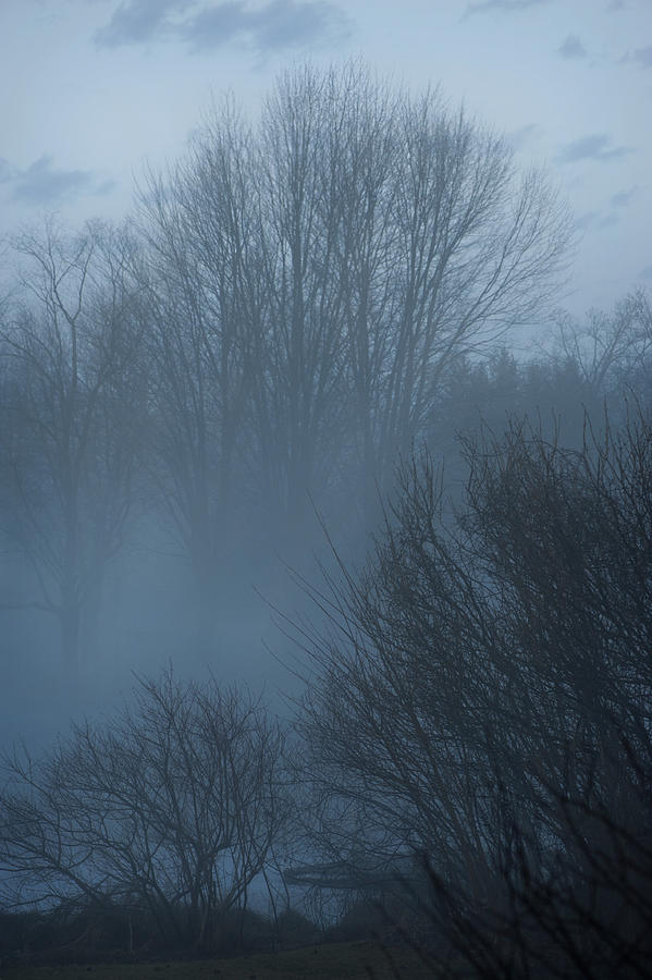 Pale Blue Morning Photograph by Jill Love