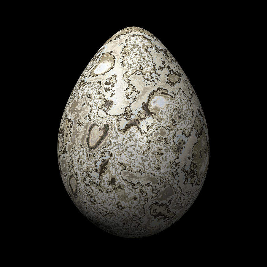 Pale Marble Egg Digital Art by Hakon Soreide