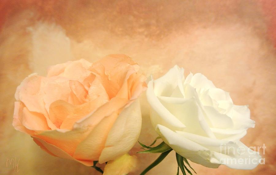 Pale Peach and White Roses Painting by Marsha Heiken