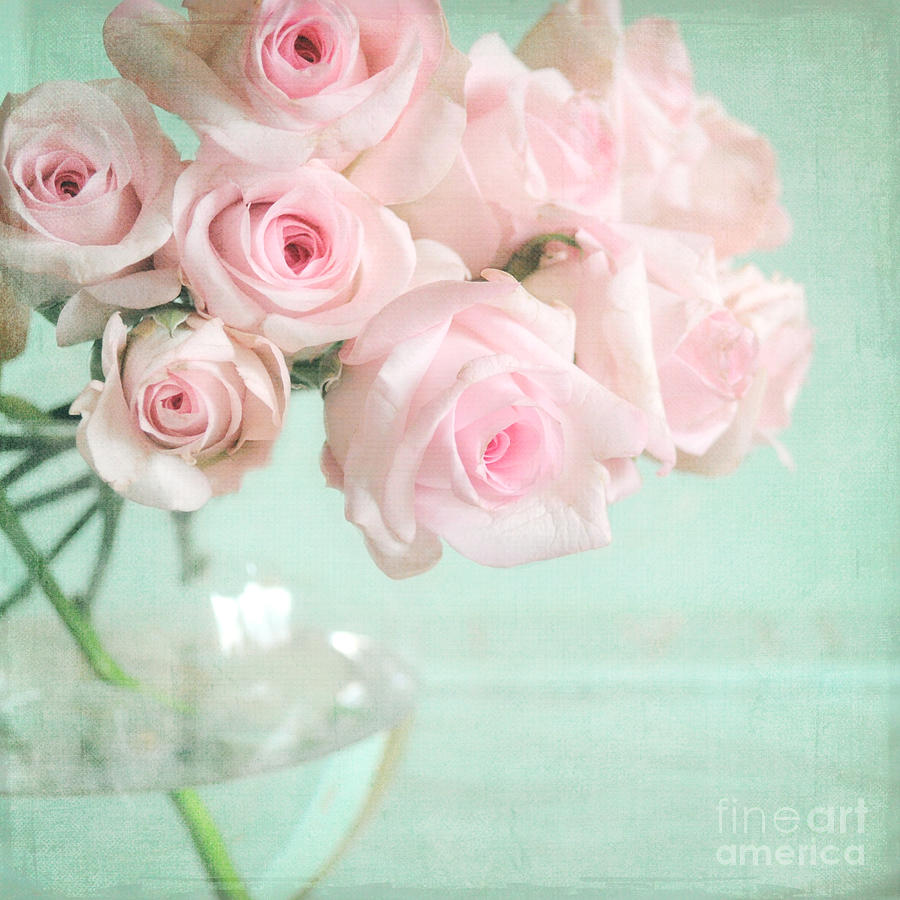 Rose Photograph - Pale Pink Roses by Lyn Randle