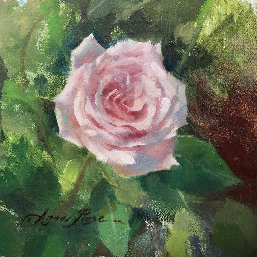 Pale Rose Study Painting by Anna Rose Bain