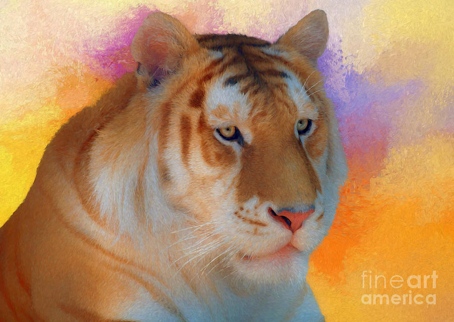 Wildlife Digital Art - Pale Tiger by Suzanne Handel