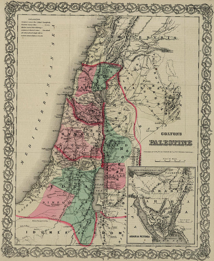 Palestine Drawing by Colton - Fine Art America