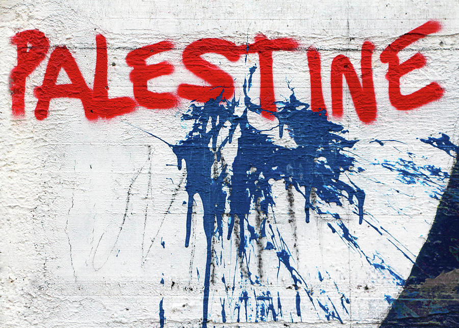 Palestine in Blue Photograph by Munir Alawi