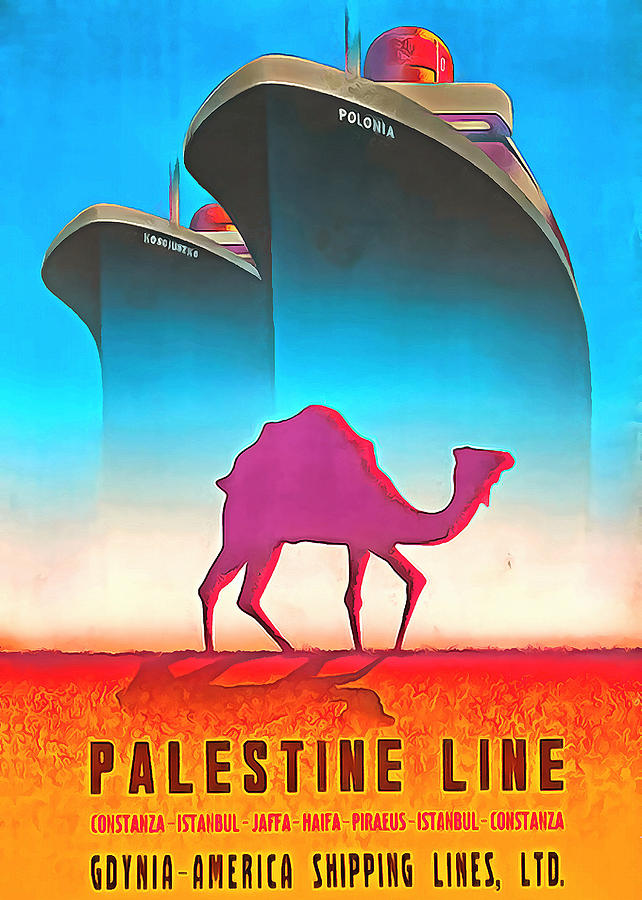 Palestine Line Photograph by Munir Alawi