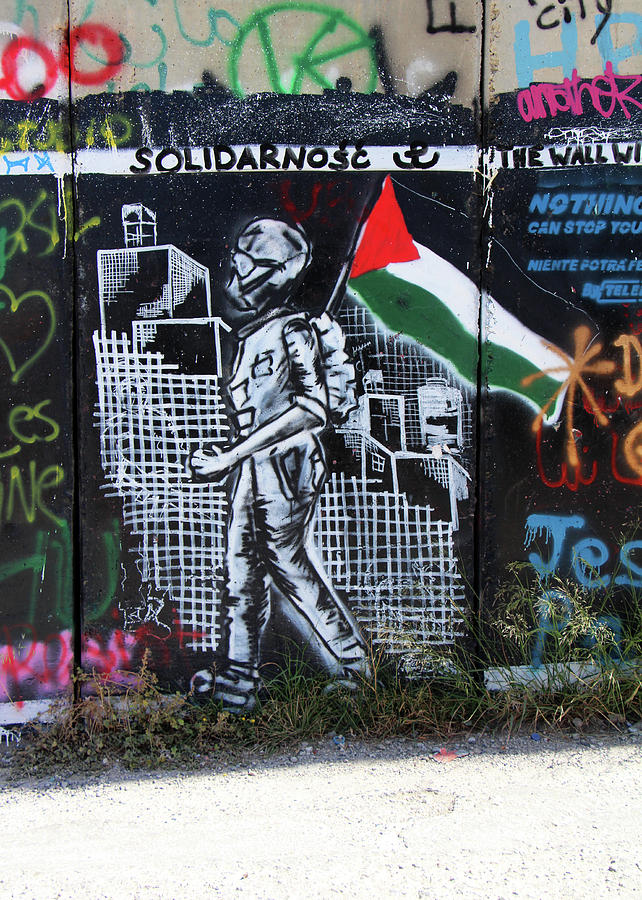 Palestine Solidarity Photograph by Munir Alawi