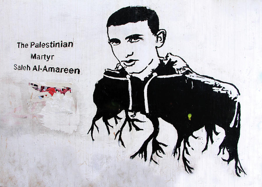 Palestinian Martyr Photograph by Munir Alawi