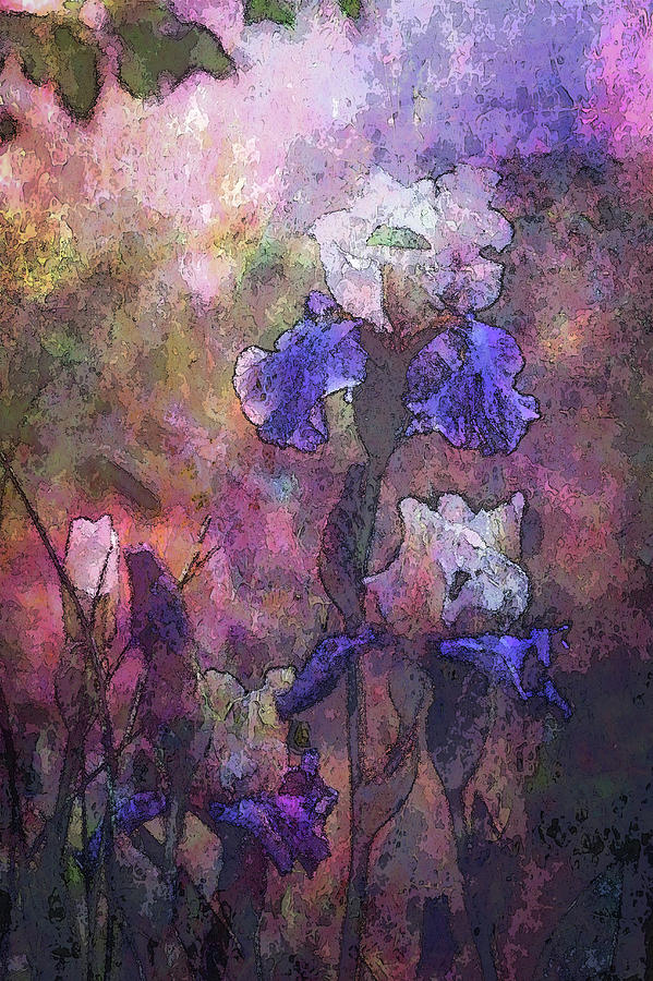 Palette Knife Purple and White Irises 6647 DP_3 Photograph by Steven Ward
