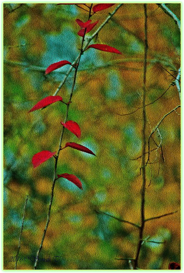 Red Photograph - Palette of Nature by Sonali Gangane