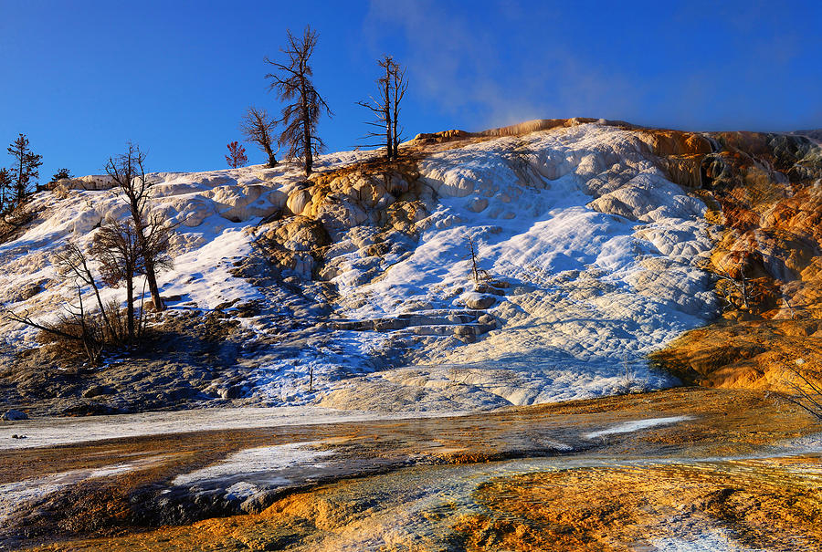 Yellowstone National Park Photograph - Palette Spring by Greg Norrell