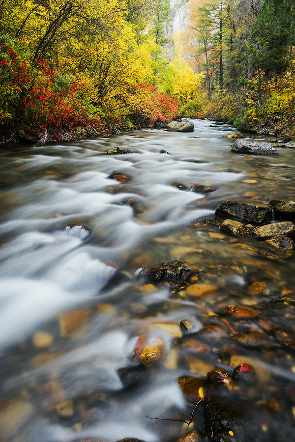 Palisades Creek Autumn Beauty in Swan Valley Idaho Photograph by Vishwanath Bhat