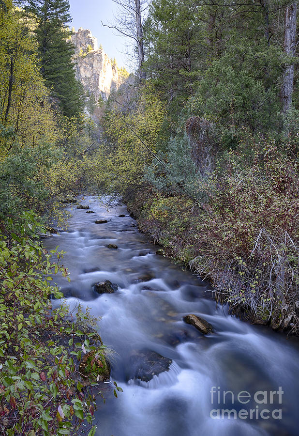 Palisades Creek Photograph by Idaho Scenic Images Linda Lantzy
