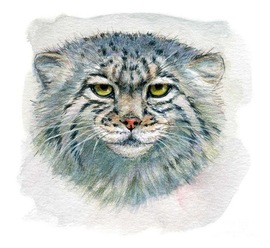 Wildlife Painting - Pallass cat 862 by Svetlana Ledneva-Schukina