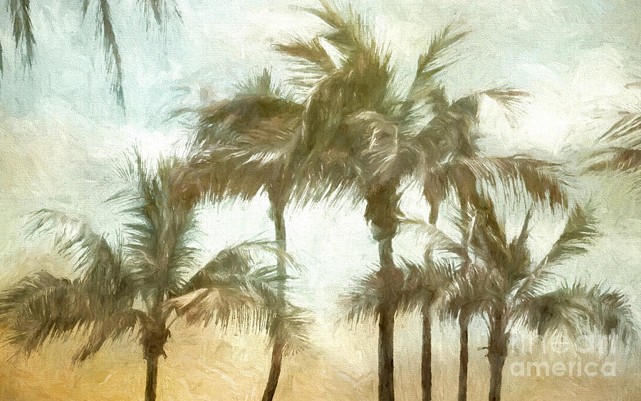 Palm Art Digital Art by Jayne Carney
