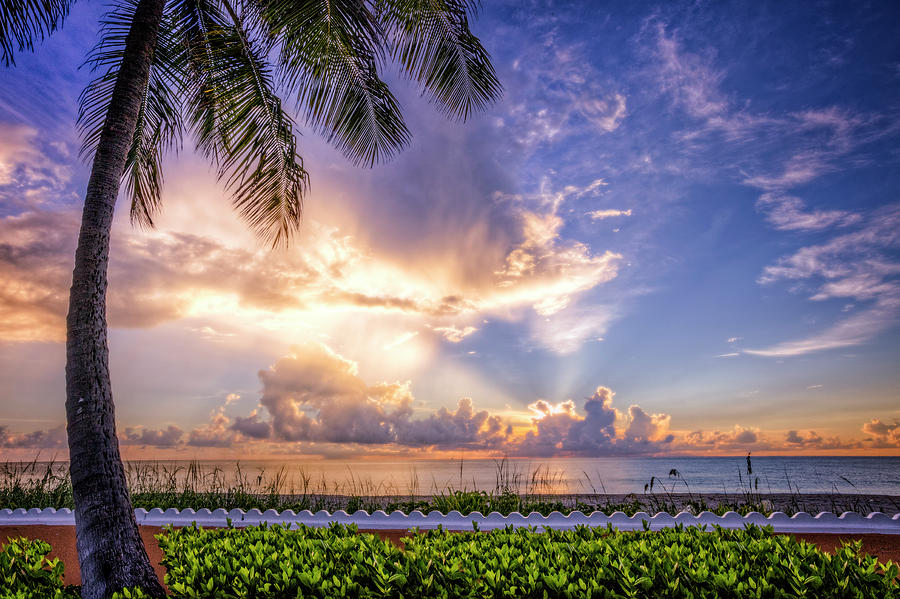 Palm Beach at Sunrise Photograph by Debra and Dave Vanderlaan