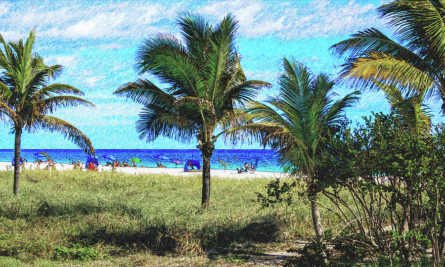 Palm Beach in December Photograph by Susan Molnar