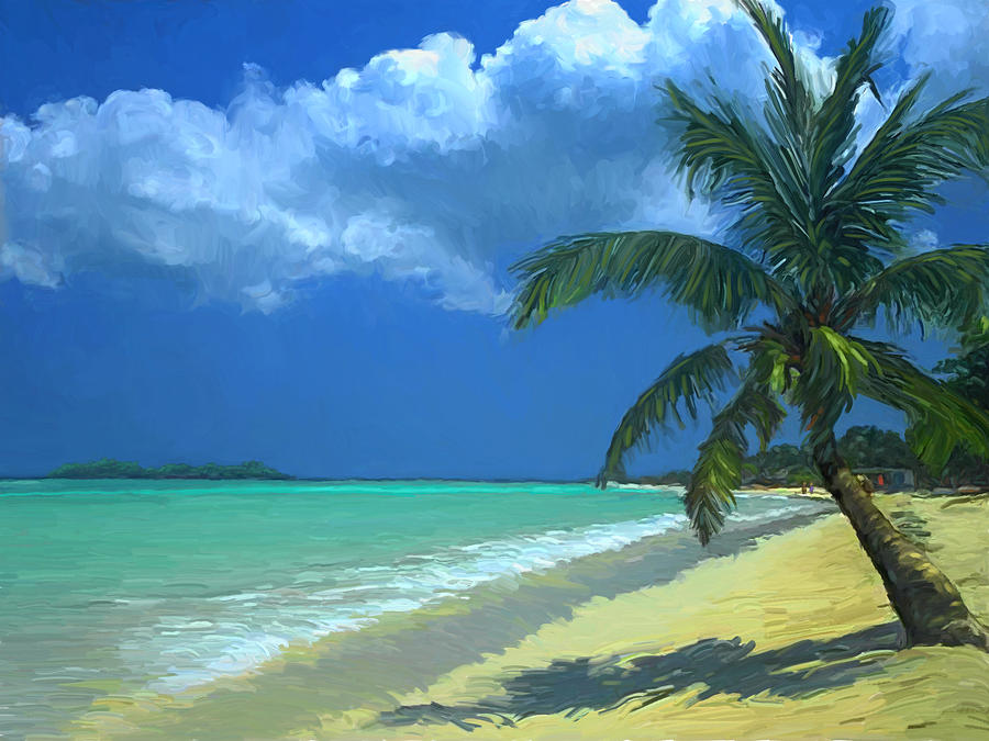 Florida Keys Painting - Palm Beach in the Keys by David Van Hulst