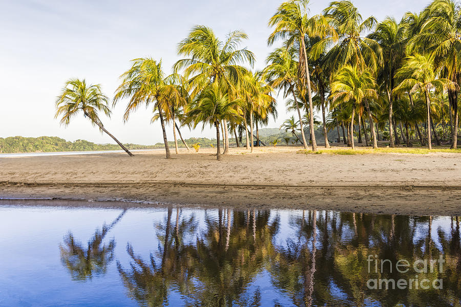 Palm Beach Reflection Photograph by Oscar Gutierrez