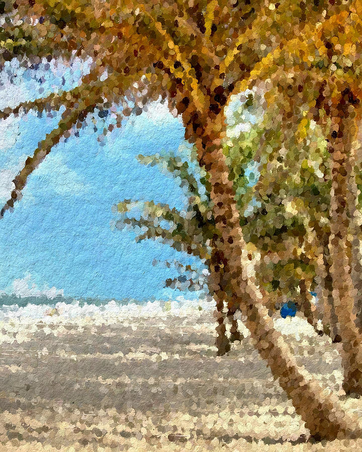 Palm beach shade Digital Art by Anthony Fishburne
