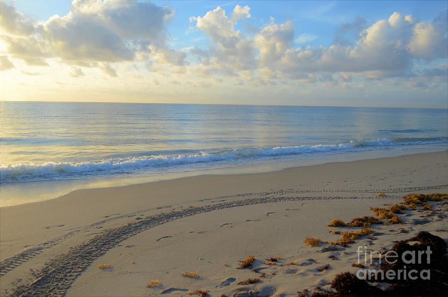 Palm Beach Sunrise Around the White Sand Photograph by Victoria ...