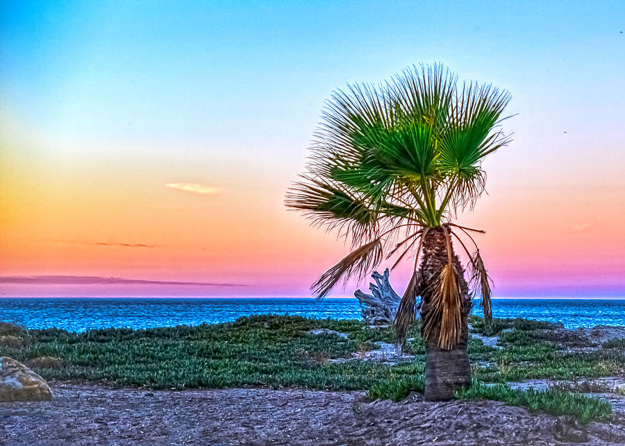 Palm Beach Sunrise Photograph by Joseph Hollingsworth