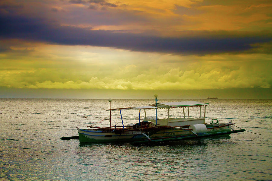 Palm Boat Sunset Photograph by James BO Insogna