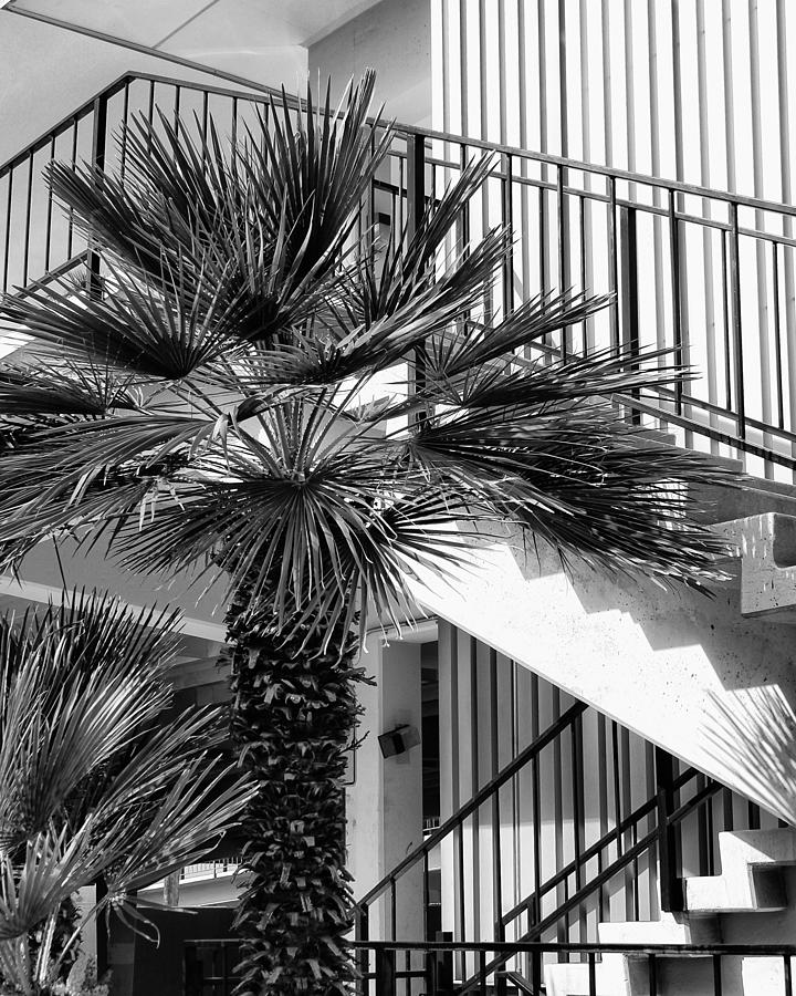Architecture Photograph - PALM CHEVRON Palm Springs CA by William Dey
