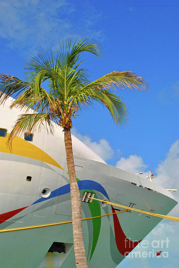 Palm Cruise Photograph by Jost Houk