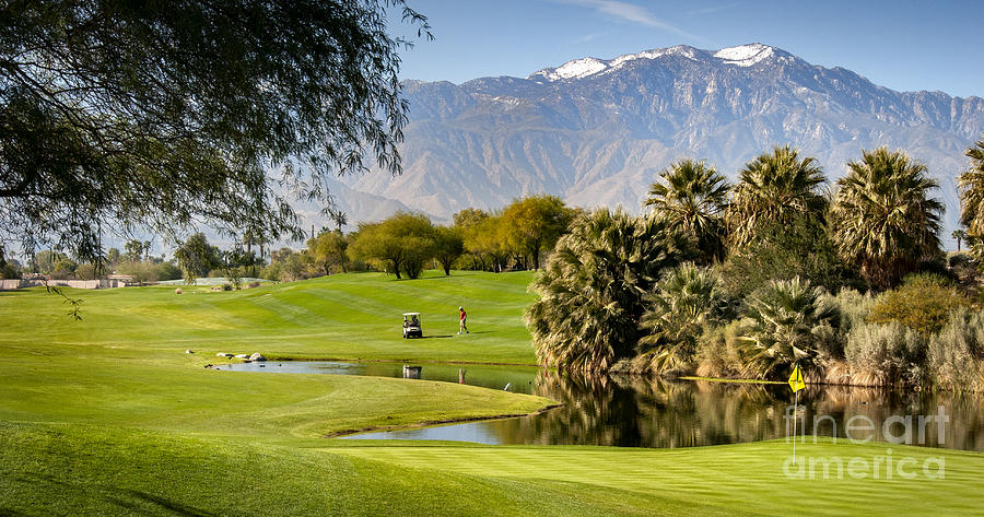 Palm Desert Golf Course Photograph by David Zanzinger