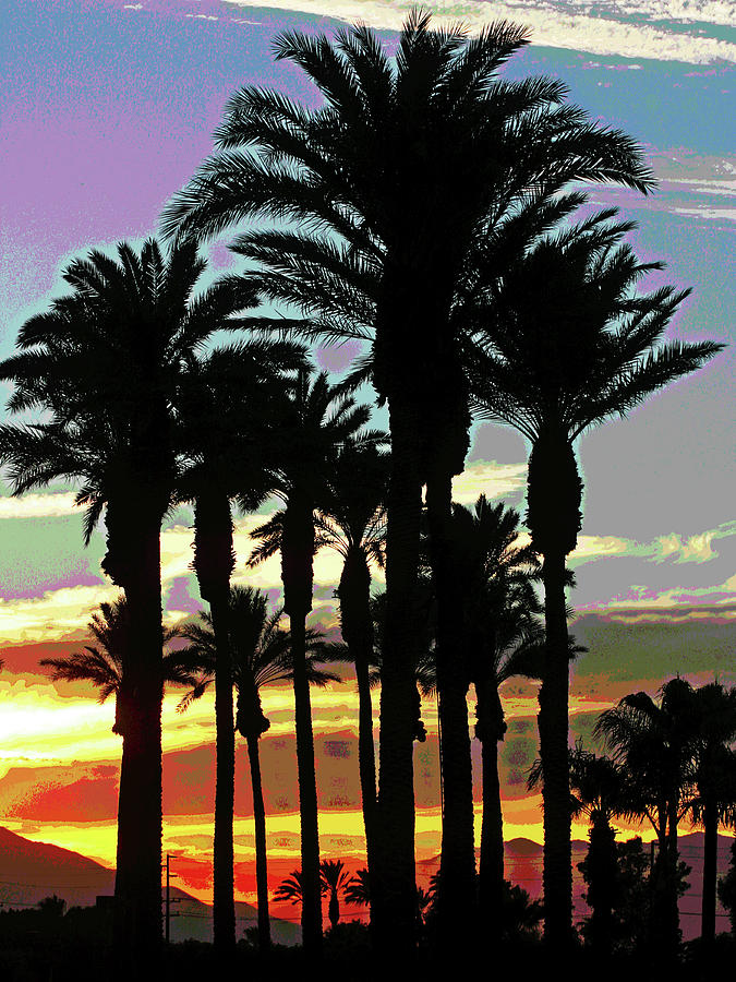 Palm Dessert Sunset 2 Photograph by Larry Oskin