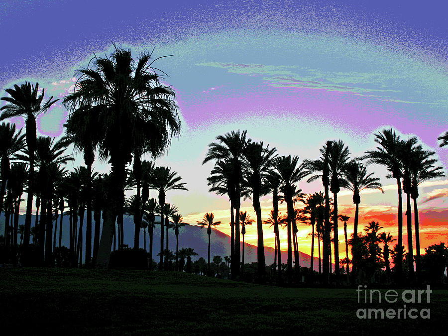 Palm Dessert Sunset  Photograph by Larry Oskin