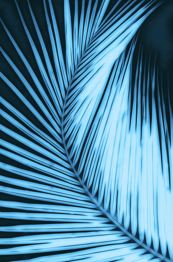 Palm Fantasy in Blue Painting by AM FineArtPrints