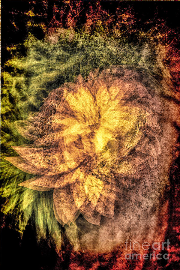 Lily Digital Art - Palm Flower Beast by Georgianne Giese