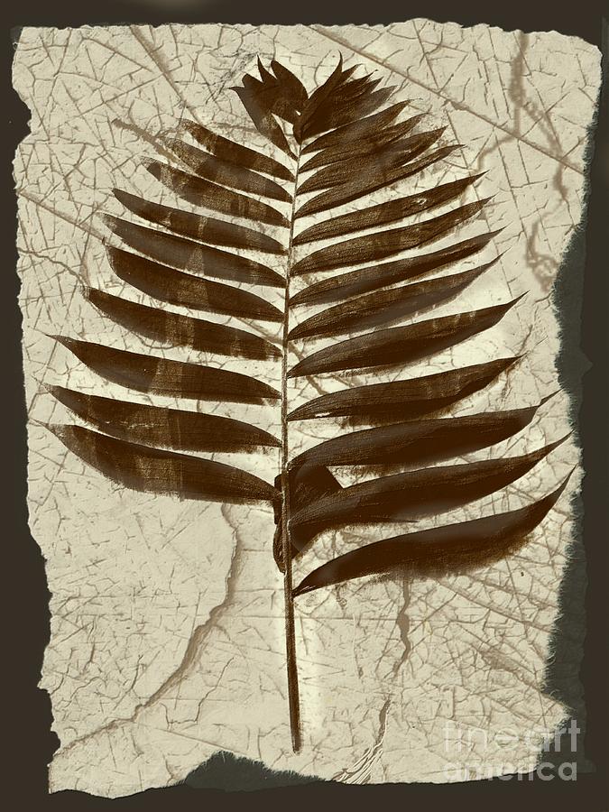 Palm Fossil Sandstone  Digital Art by Delynn Addams