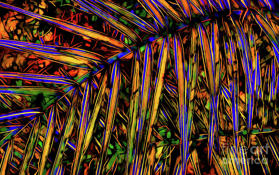 Palm Frond Batik Photograph by Judi Bagwell