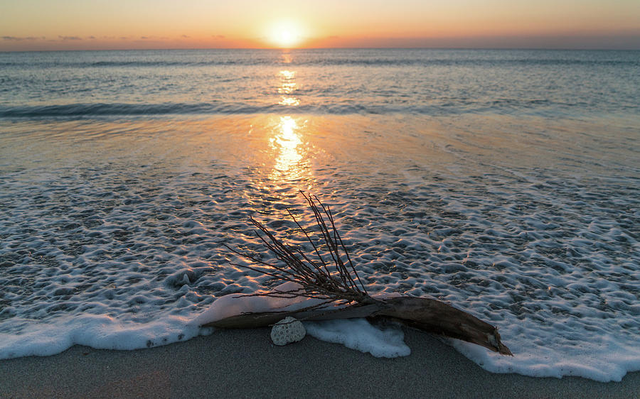 Palm Frond Coral Sunrise Wave Delray Beach Florida Photograph by Lawrence S Richardson Jr