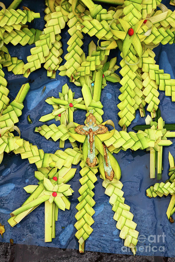 Palm Frond Crosses for Palm Sunday Photograph by James Brunker