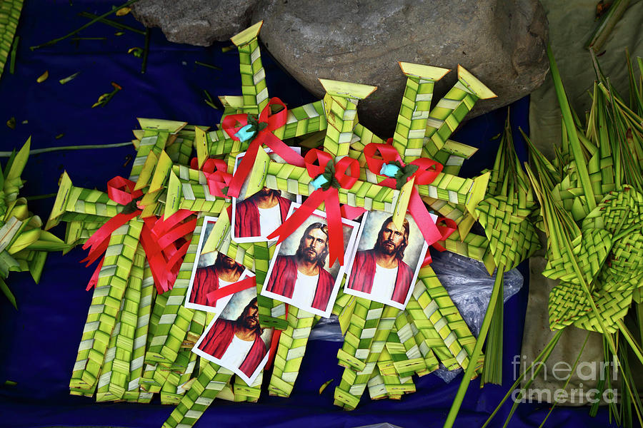 Palm Frond Crosses for Sale for Palm Sunday Photograph by James Brunker