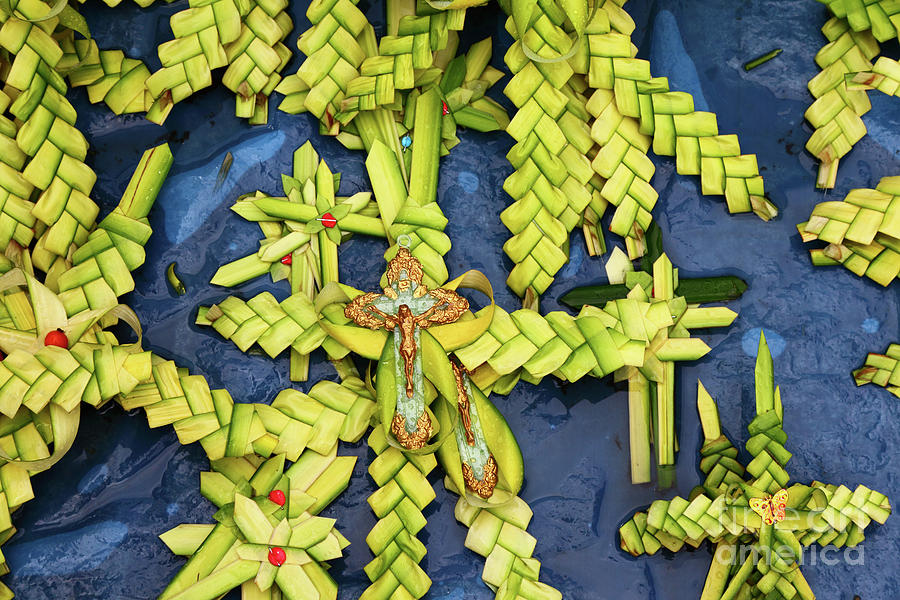 Palm Frond Crucifix and Crosses for Palm Sunday Photograph by James Brunker