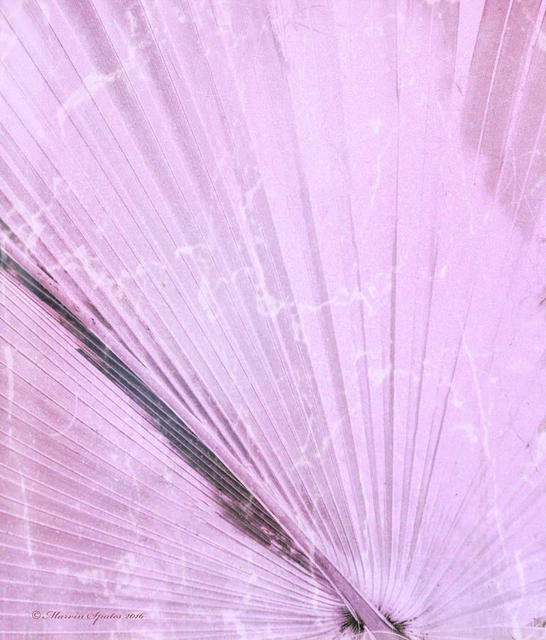 Nature Photograph - Palm Frond Pink LH by Marvin Spates