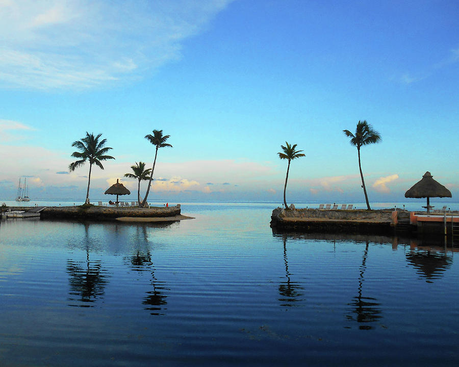 Palm Harbor Reflections  Photograph by Irina Sztukowski
