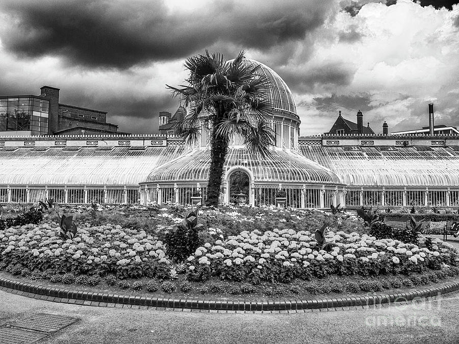 Palm House Photograph by Jim Orr Palm House Photograph by Jim Orr
