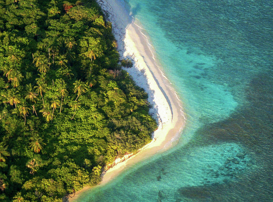 Palm Island in the Ocean Photograph by Jenny Rainbow