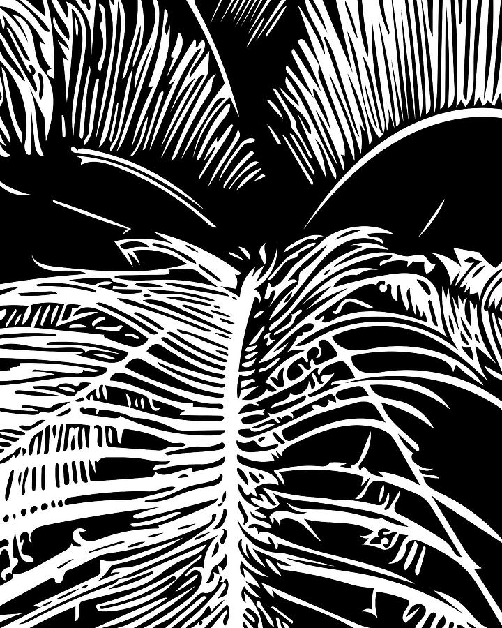 Nature Digital Art - Palm Leaves by Olga Petrov