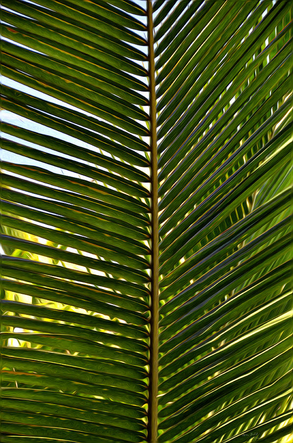 Palm Leaves Painting by Tom Bell - Fine Art America