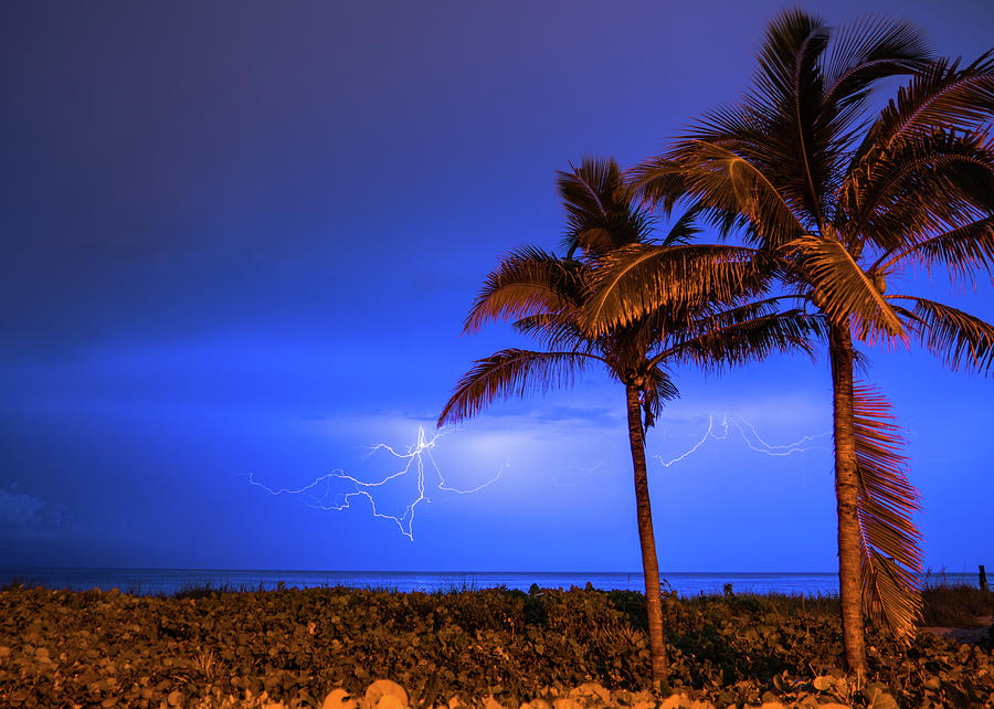 Palm Lightning Delray Beach Florida Photograph by Lawrence S Richardson Jr