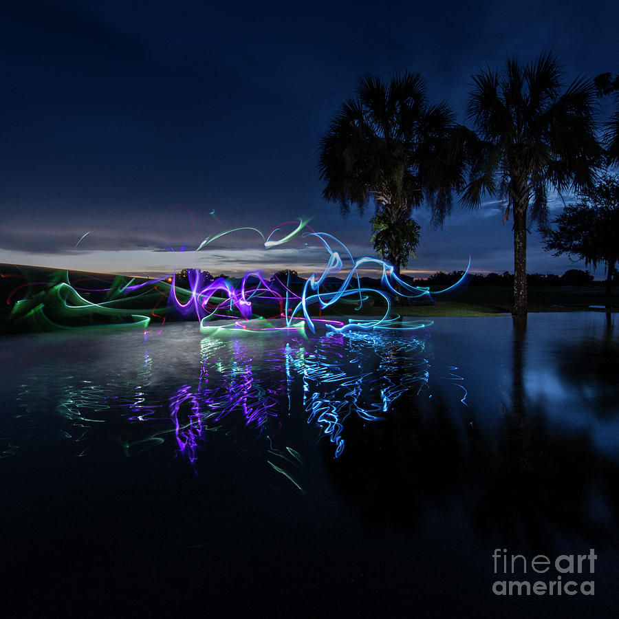 Sunset Photograph - Palm Lights by Brian Jones