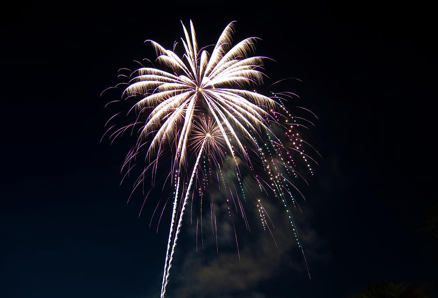 Palm Lights Photograph by Jean Booth - Fine Art America