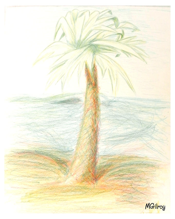 Coconut Drawing - Palm by MGilroy
